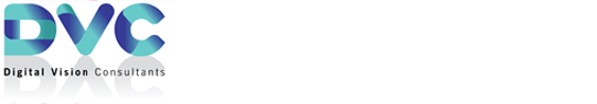 Digital Vision Consultants